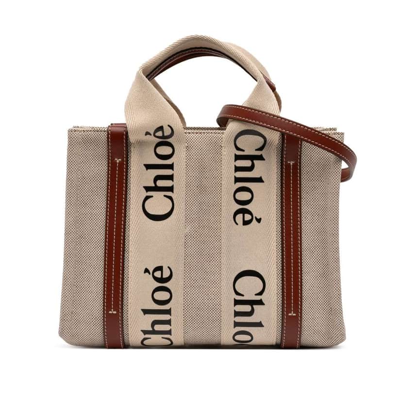 Chloé Small Canvas Woody Satchel Brown Canvas Good condition - Front View