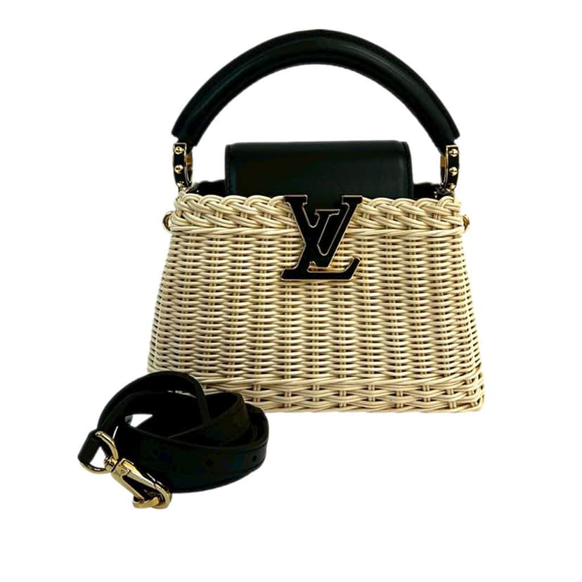 Louis Vuitton Mini Rattan and Smooth Calfskin Capucines Brown Very good condition - Front View