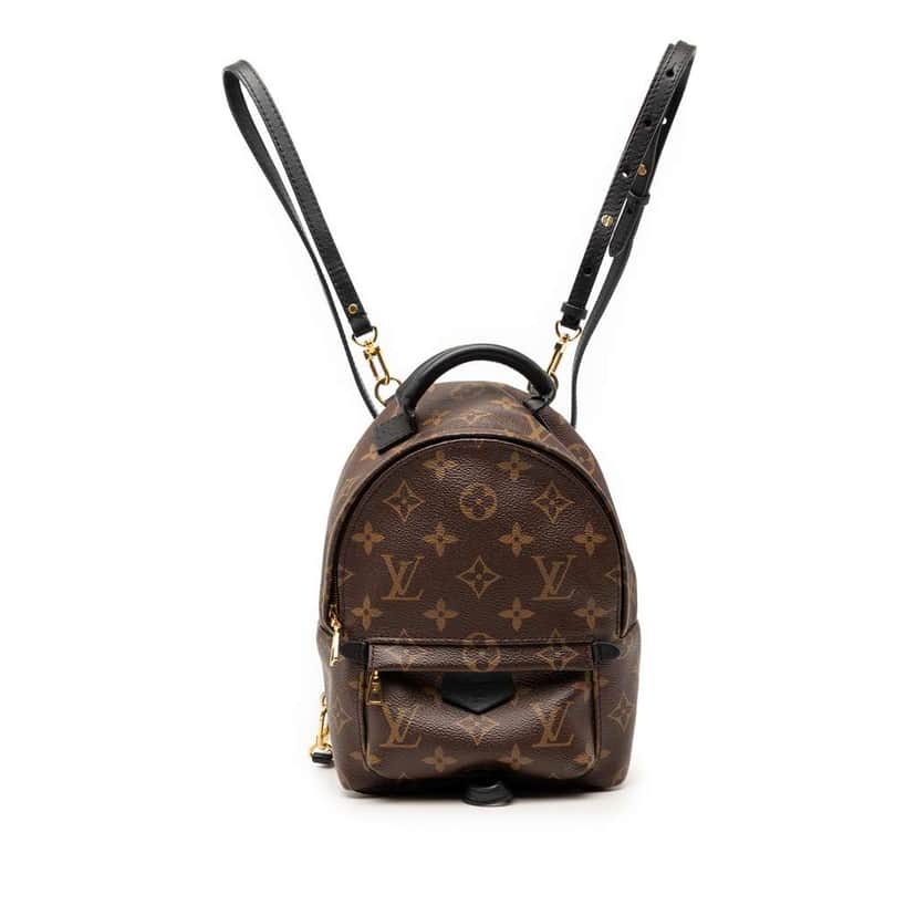 Louis Vuitton Monogram Mini Palm Springs Brown Very good condition - Front View