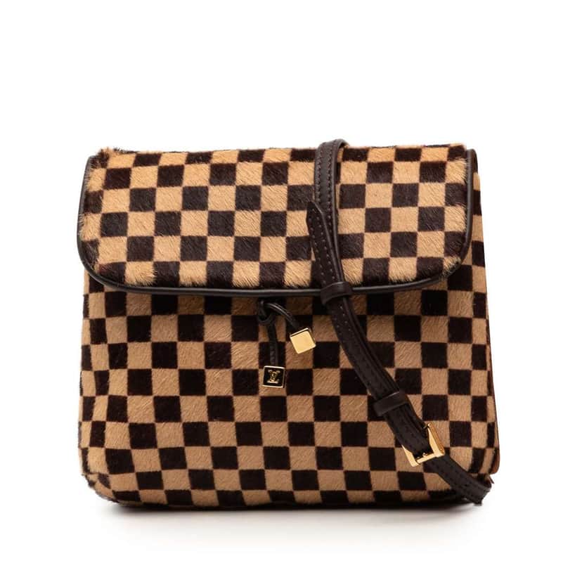 Louis Vuitton Damier Sauvage Gazelle Brown Good condition - Front View