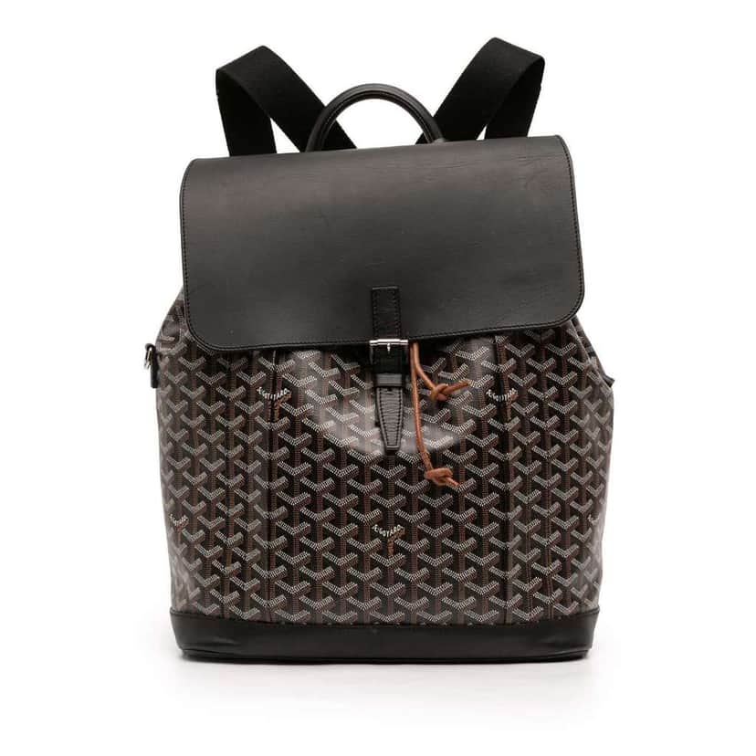 Goyard Goyardine Alpin Backpack MM Black Canvas Good condition - Front View