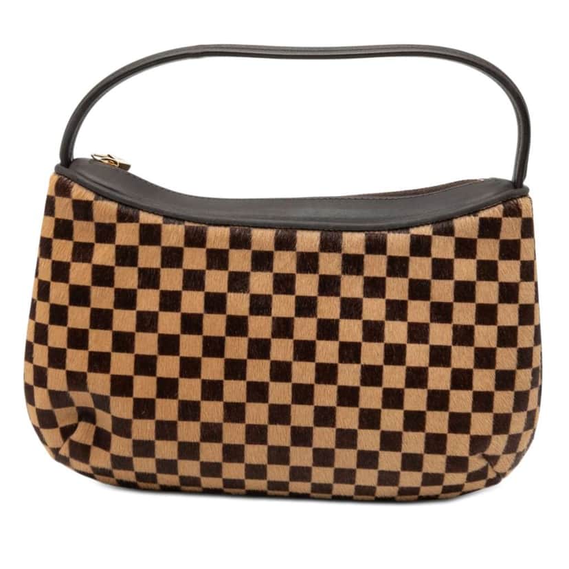 Louis Vuitton Damier Sauvage Tigre Brown Very good condition - Front View