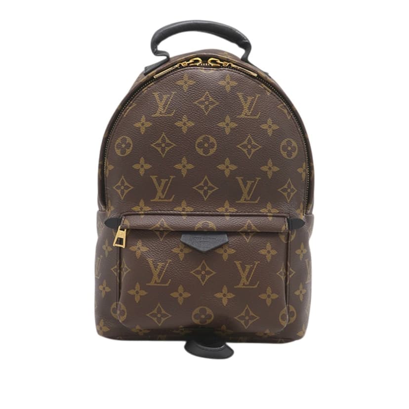 Louis Vuitton Monogram Palm Springs PM
