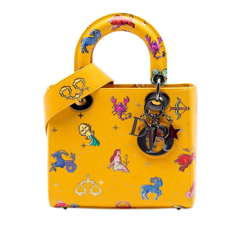 Dior Small Calfskin Pixel Zodiac Lady Dior