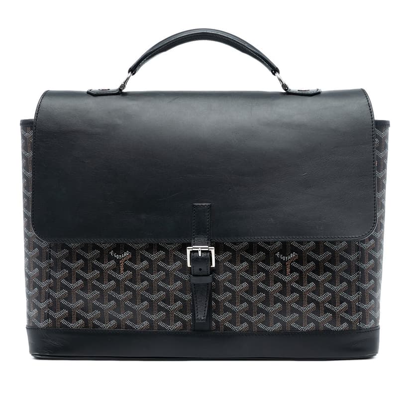 Goyard Goyardine Citadin PM