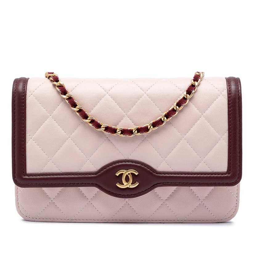 Chanel Mini Quilted Lambskin Two Tone Day Flap