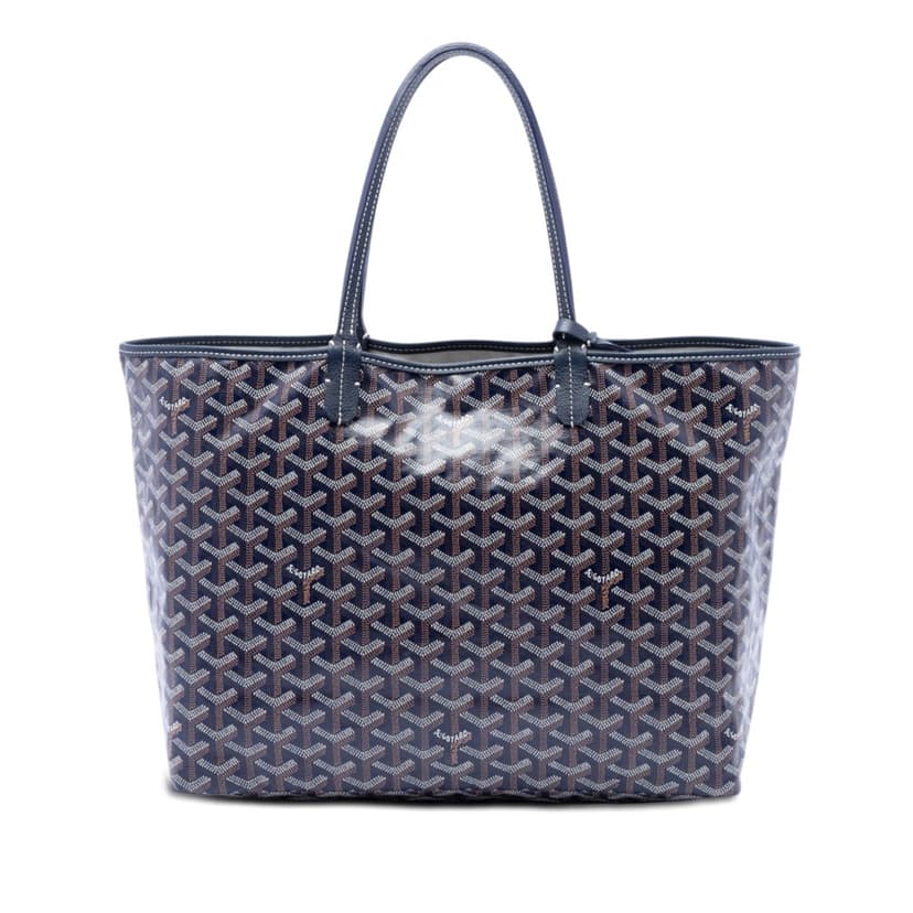 Goyard Goyardine Saint Louis PM