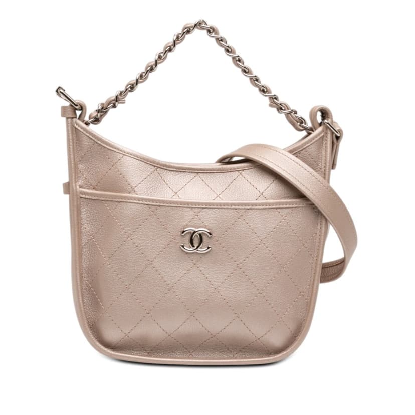 Chanel Small Quilted Metallic Calfskin Jungle Stroll Hobo