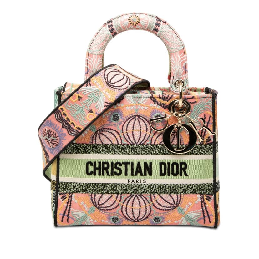 Dior Medium Embroidered Canvas In Lights Lady D Lite