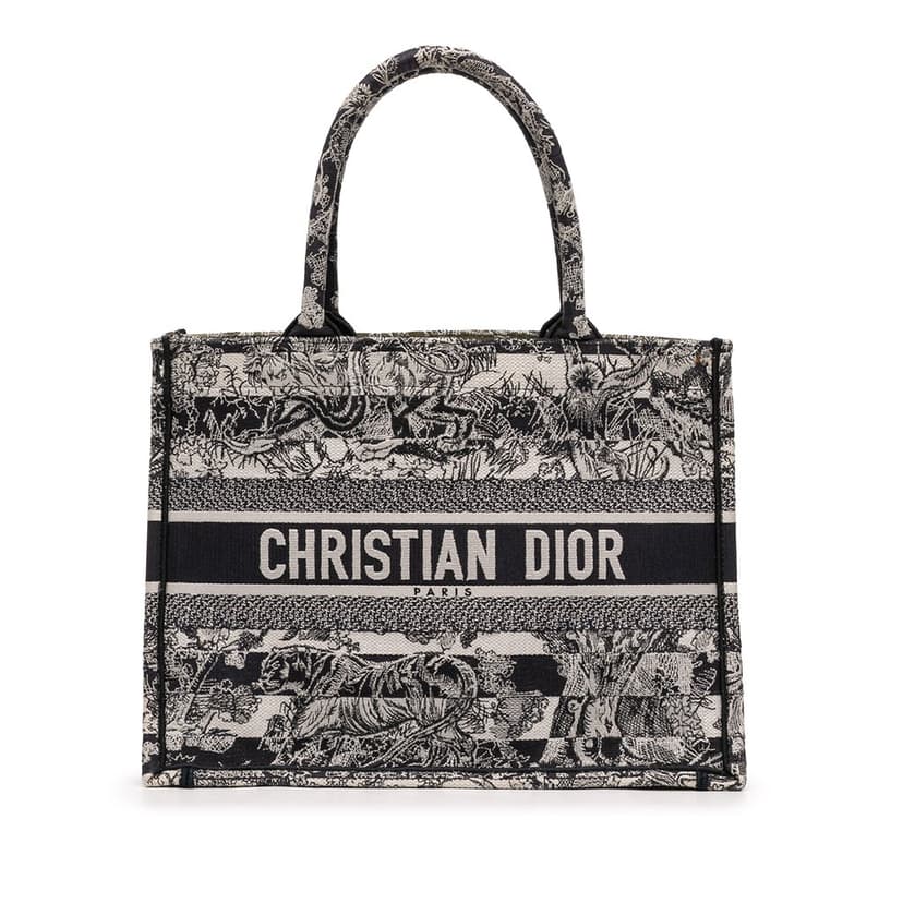 Dior Medium Striped Canvas Reverse Embroidered Dioriviera Toile de Jouy Book Tote