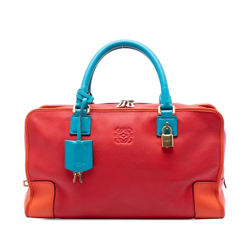 Loewe Tricolor Leather Amazona 36