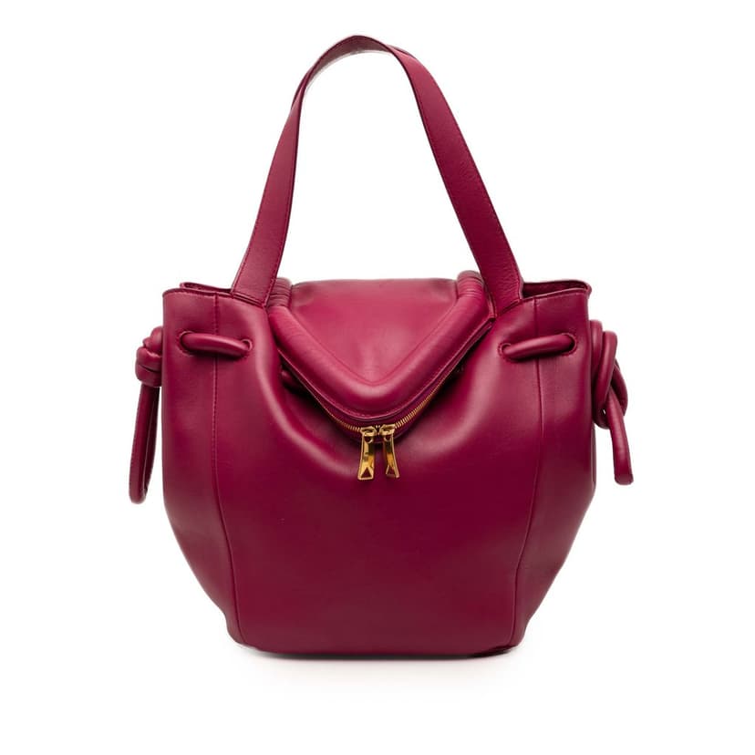 Bottega Veneta Small Calf Beak Bag