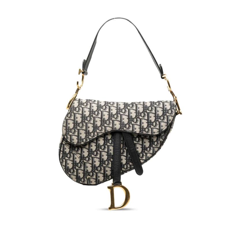 Dior Oblique Canvas Saddle Bag