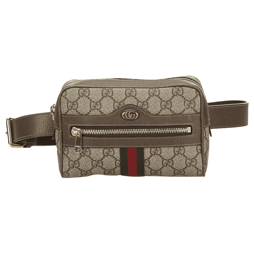 Gucci Ophidia Supreme Belt bag Other Canvas Very good condition - Front View