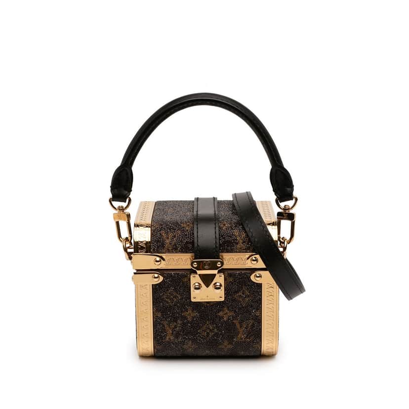 Louis Vuitton Sea Treasure Monogram Satin Treasure Box Satchel Brown Very good condition - Front View