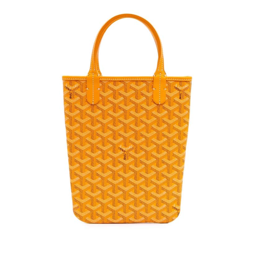 Goyard Goyardine Poitiers Claire Voie Yellow Canvas Good condition - Front View