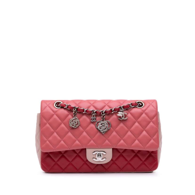 Chanel Medium Classic Tricolor Lambskin Valentines Heart Charms Single Flap Pink Leather Good condition - Front View