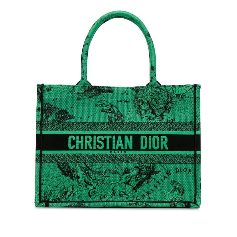 Dior Medium Embroidered Canvas Book Tote Green Canvas Good condition - Front View