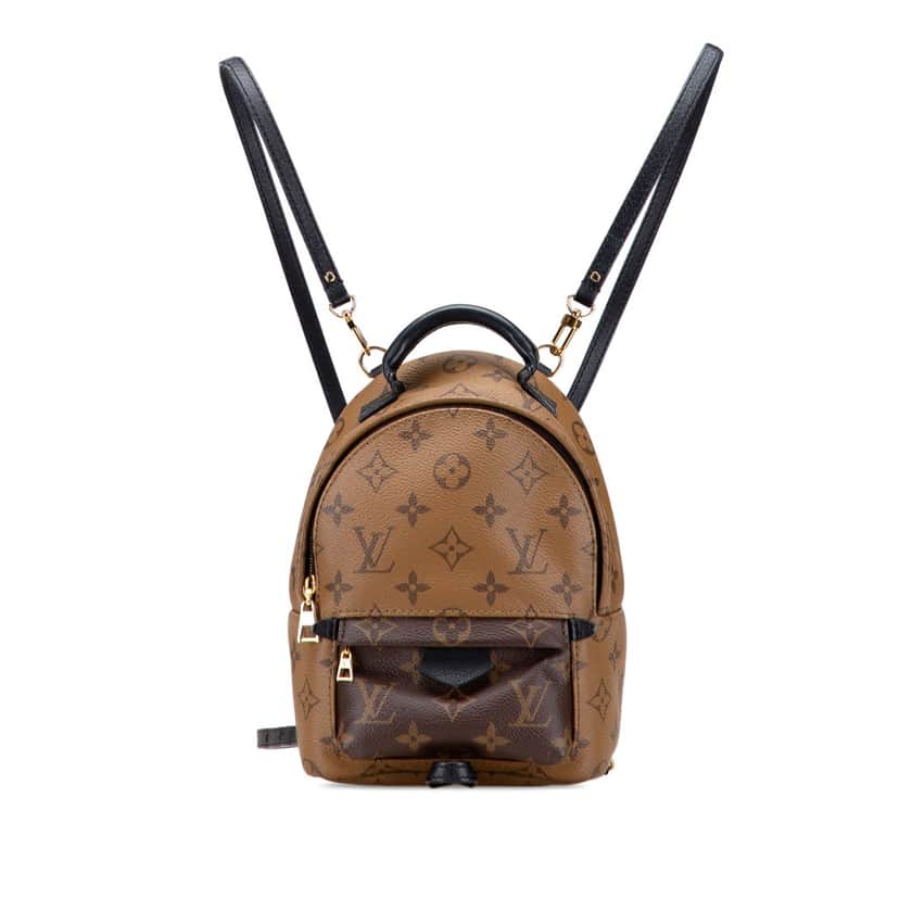 Louis Vuitton Monogram Reverse Mini Palm Springs Brown Canvas Very good condition - Front View