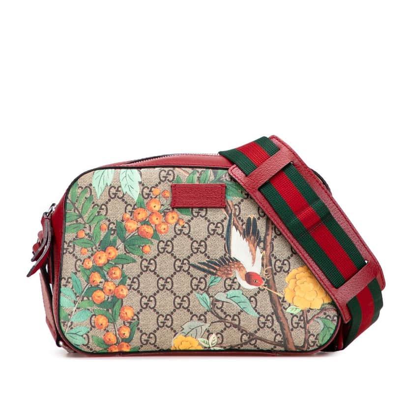 Gucci GG Supreme Tian Crossbody Brown Canvas Good condition - Front View
