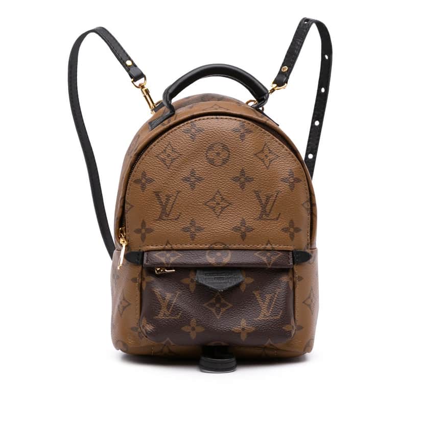 Louis Vuitton Monogram Reverse Mini Palm Springs Brown Canvas Good condition - Front View