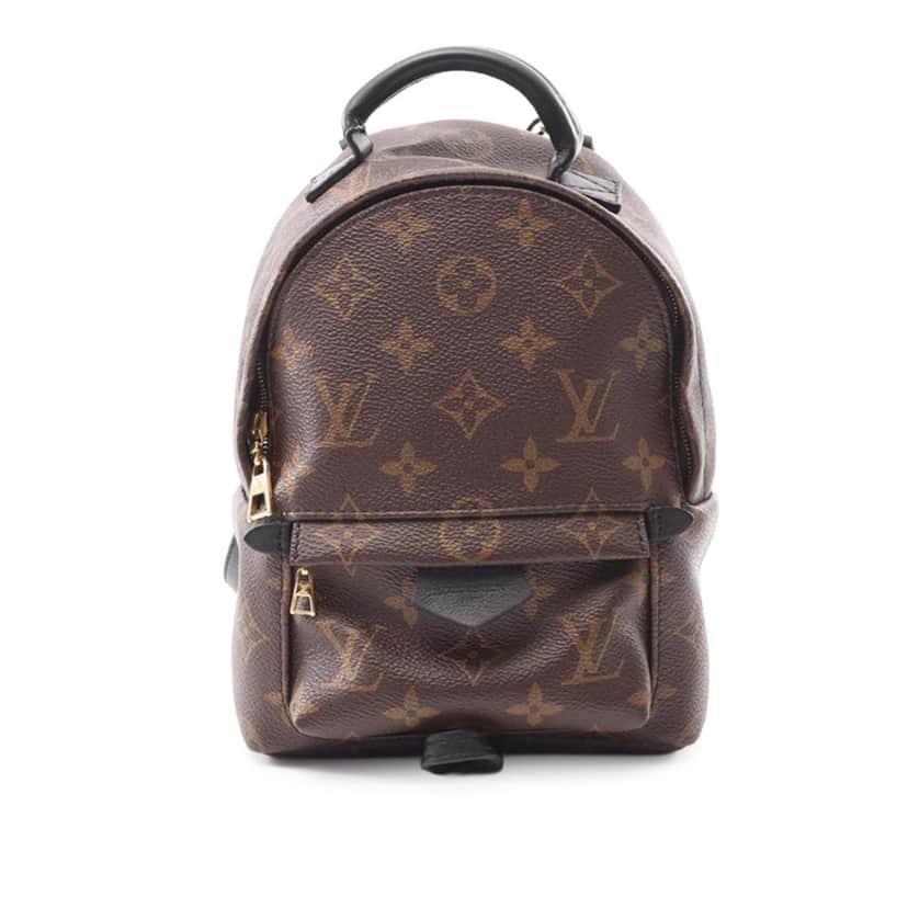 Louis Vuitton Monogram Mini Palm Springs Brown Canvas Good condition - Front View