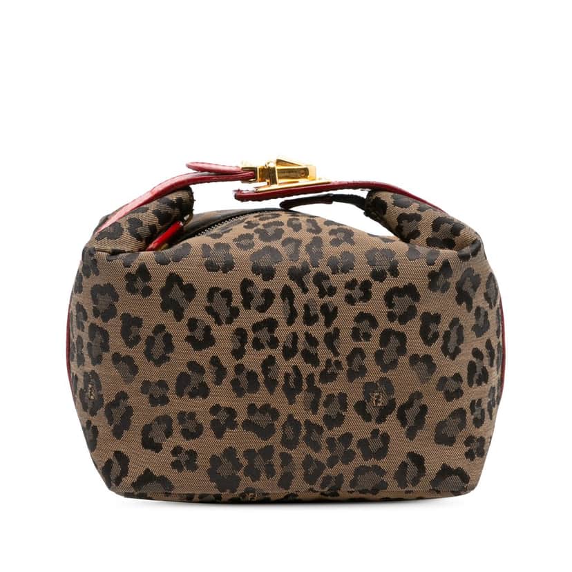 Fendi Leopard Print Canvas Handbag Brown Canvas Good condition - Front View