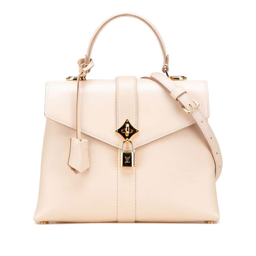 Louis Vuitton Grained Smooth Calfskin Rose Des Vents PM Brown Leather Good condition - Front View