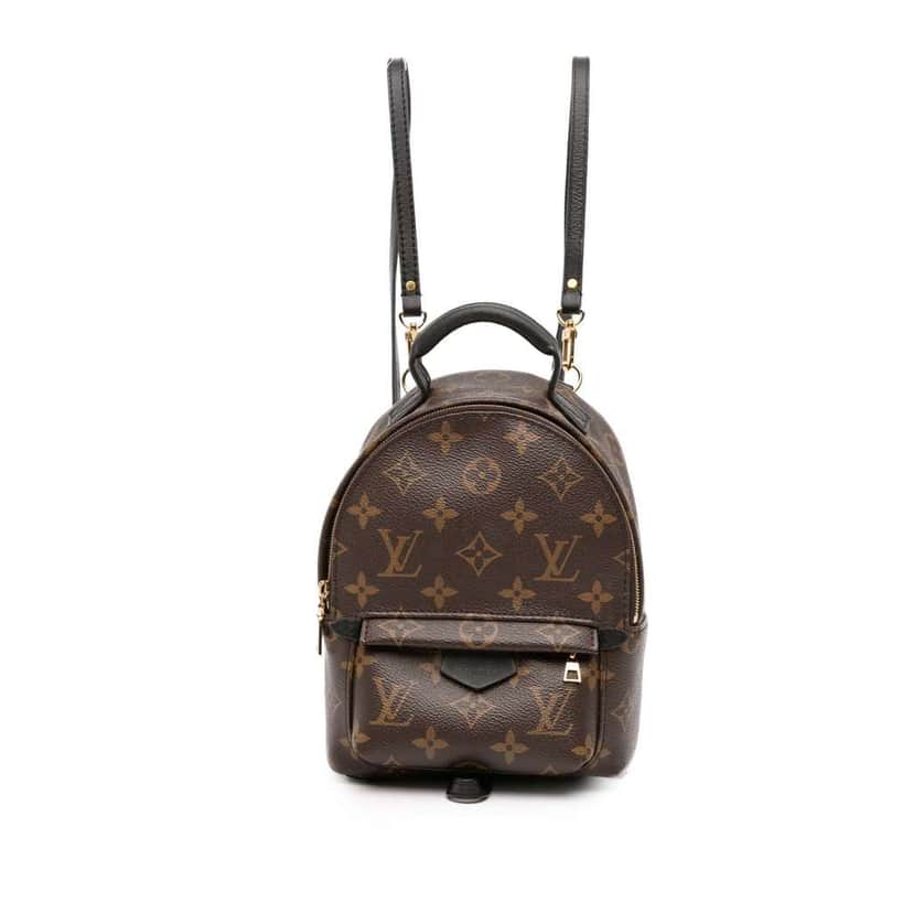 Louis Vuitton Monogram Mini Palm Springs Brown Good condition - Front View