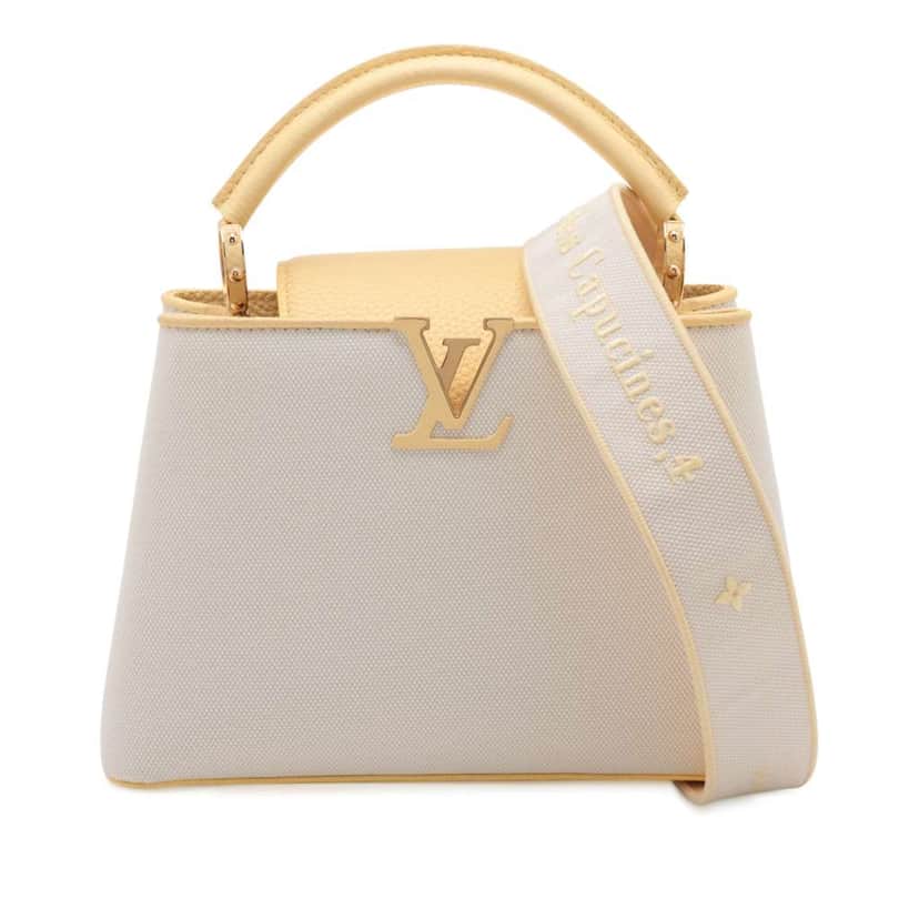 Louis Vuitton Canvas Taurillon Capucines BB Brown Canvas Good condition - Front View