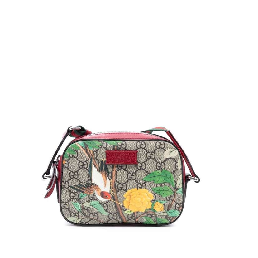 Gucci GG Supreme Tian Crossbody Brown Canvas Good condition - Front View