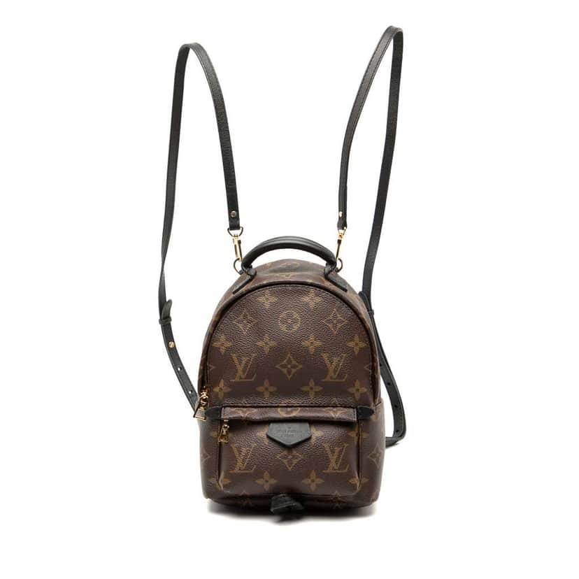 Louis Vuitton Monogram Mini Palm Springs Brown Good condition - Front View