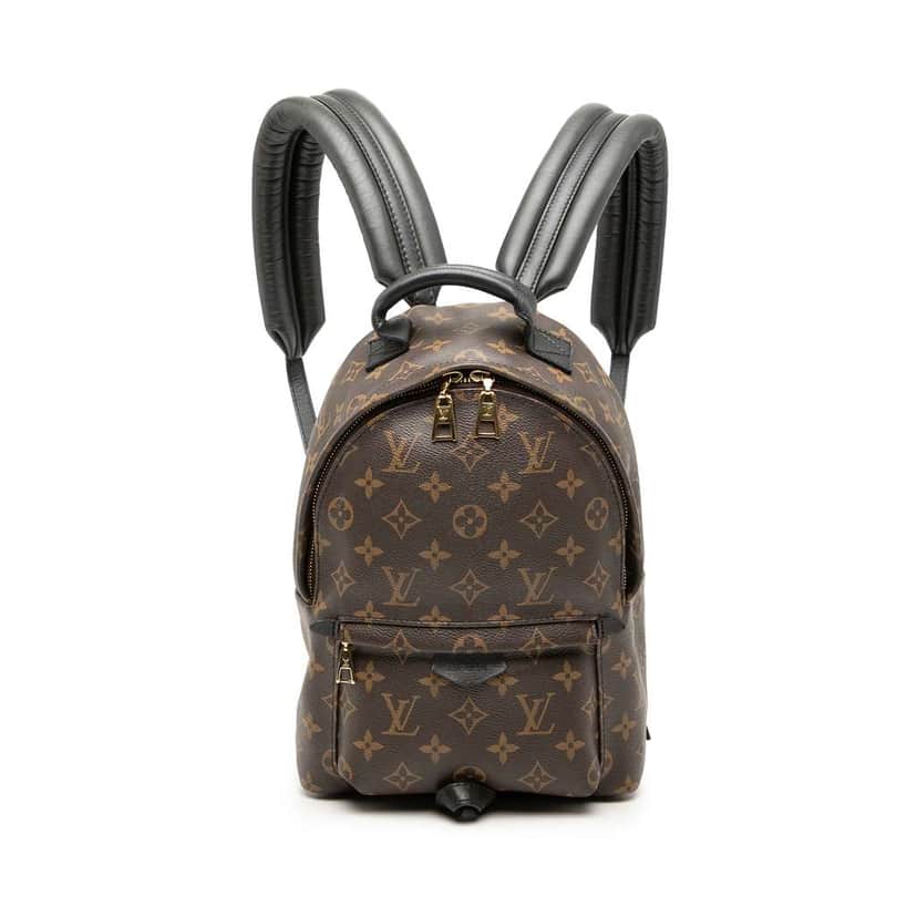 Louis Vuitton Monogram Palm Springs PM Brown Very good condition - Front View