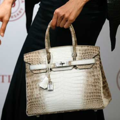 Designer clothing: Hermès Birkin