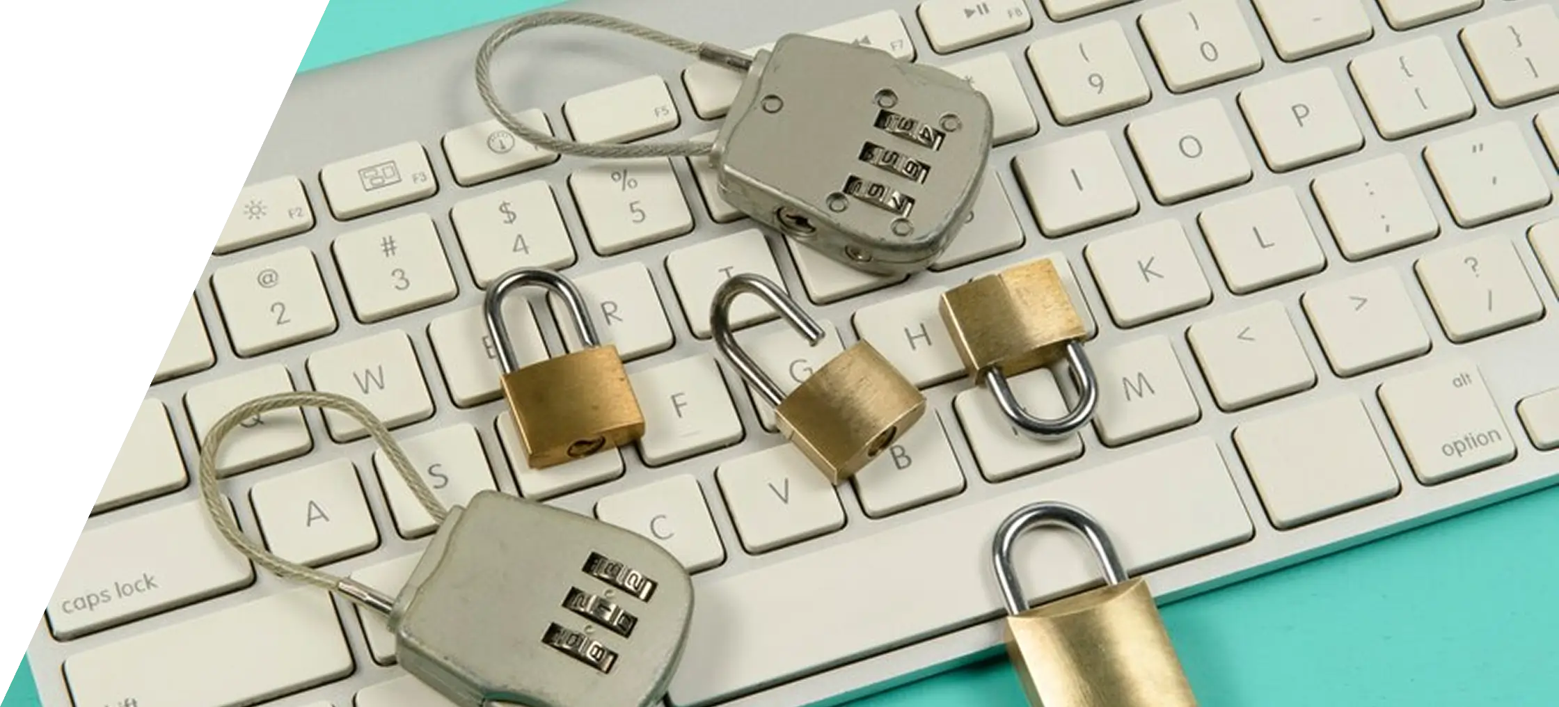 Privacy Policy