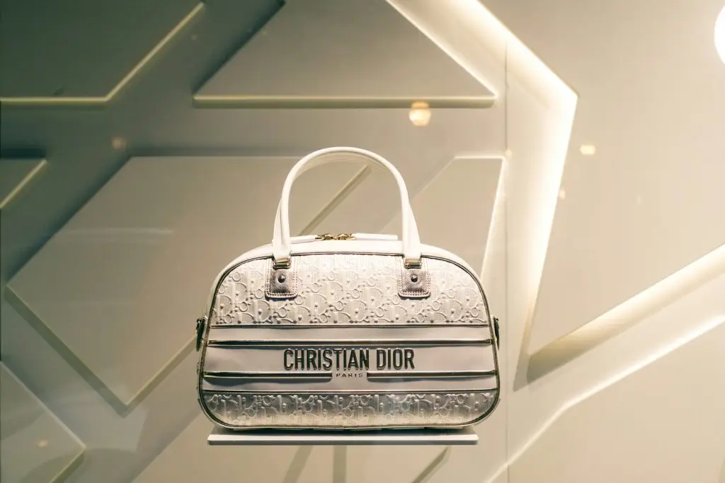 Christian dior bag